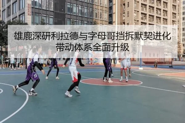 雄鹿深研利拉德与字母哥挡拆默契进化带动体系全面升级 | pg